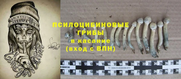 бошки Алексин