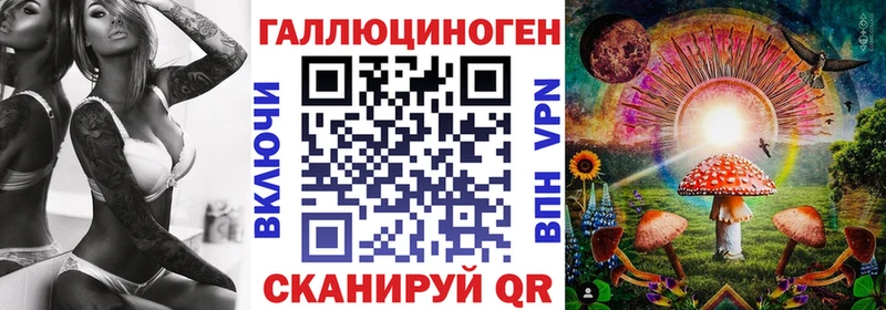 darknet формула  Мичуринск  Псилоцибиновые грибы Cubensis 